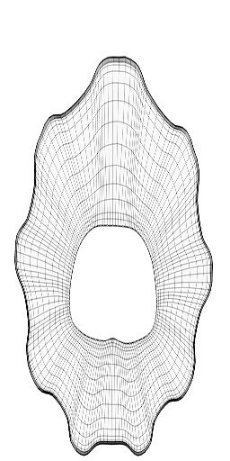 skirt-uv